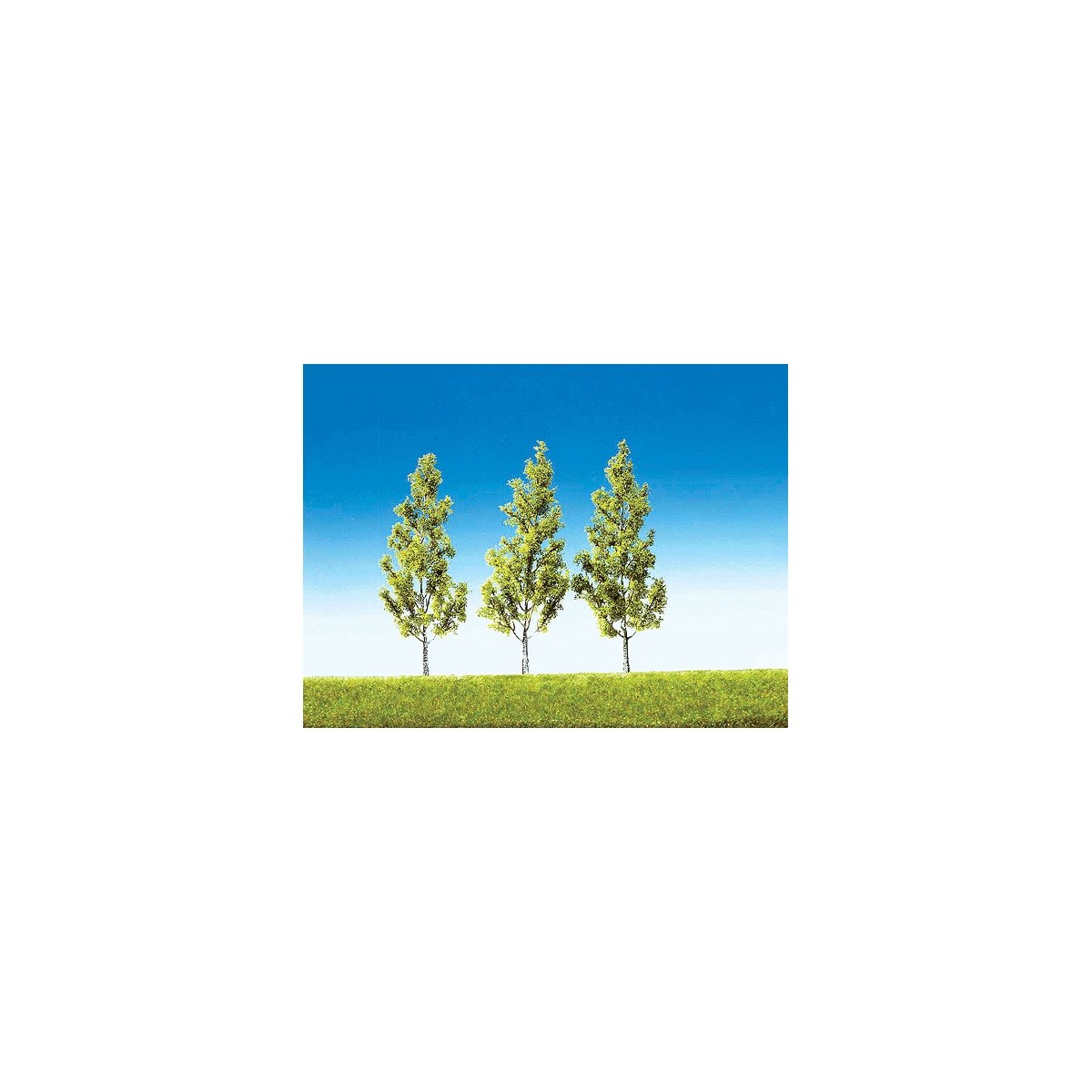Top Series Trees -- White Birch - 5-3/16′ 13cm Tall pkg(3), HO, Faller Gmbh 181372