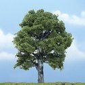 Ready Made Premium Trees(TM) - Deciduous -- Oak - 5′ 12.7cm, All Scales, Woodland Scenics 1620