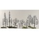 Tree Armatures - Deciduous -- 3/4 to 2′ 1.9 to 5.1cm pkg(114), All Scales, Woodland Scenics 1120