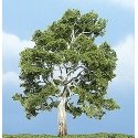 Sycamore Tree - Ready Made Premium Trees(TM) -- 4-1/4′ 11.4cm, All Scales, Woodland Scenics 1609