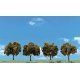 Orange Trees - Woodland Classics(TM) Ready Made Trees(TM) -- 2 to 3′ 5.1 to 7.6cm pkg(4, All Scales, Woodland Scenics 3592