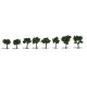 Deciduous Trees - Realistic Trees -- Medium Green 3/4 to 1-1/4′ 1.9 to 3.2cm pkg(8), All Scales, Woodland Scenics 1501