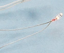 1.5V Micro Bulbs -- With Wire Terminals, All Scales, Cir-Kit Concepts Inc 101015
