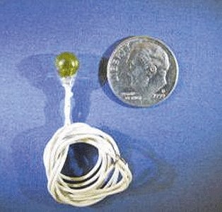 16V `Round` Bulbs -- Yellow, All Scales, Labelle Industries 6444