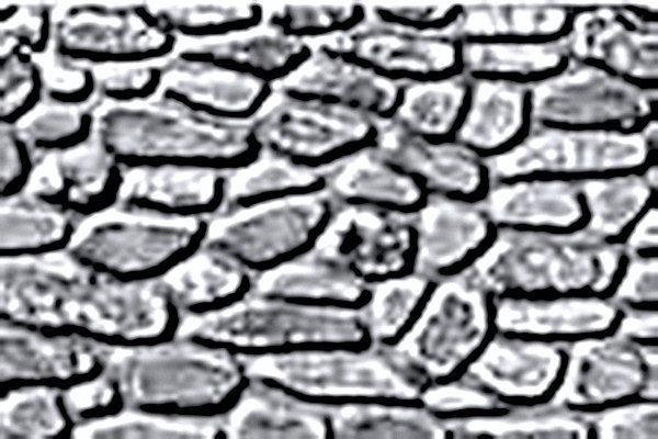 Patterned Plastic Sheet 2-Pack -- Field Stone 7-1/2 x 12′ 19.1 x 30.5cm, HO, JTT Miniature Tree 97442