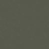 Water-Based Acrylic Paint 1oz 29.6ml -- MMP-088 Schwarzgrun Black-Green RLM 70, All Scales, Mission Models 88