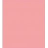 Sprayable Matte Paints - 1oz 29.6mL -- Exterior Wall - Salmon Pink, All Scales, Tru-Color Paint 455