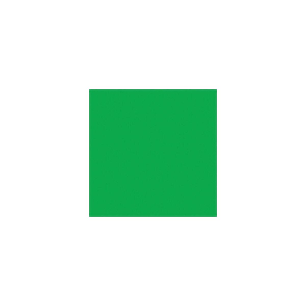 Paint PLA Enamel Flourescent Colors - 1/4oz 7.4mL -- Green, All Scales, Testor Corp 1174