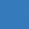 All-Purpose Enamel Paint - 1/4oz 7.4mL Bottle -- Blue, All Scales, Testor Corp 1110