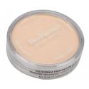 Panpastel Color Powder -- Orange Tint, All Scales, Pan Pastel 22808