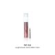 Phoenix Plume Flat Brush Tip -- Flat Type II, All Scales, DSPIAE FBTE02