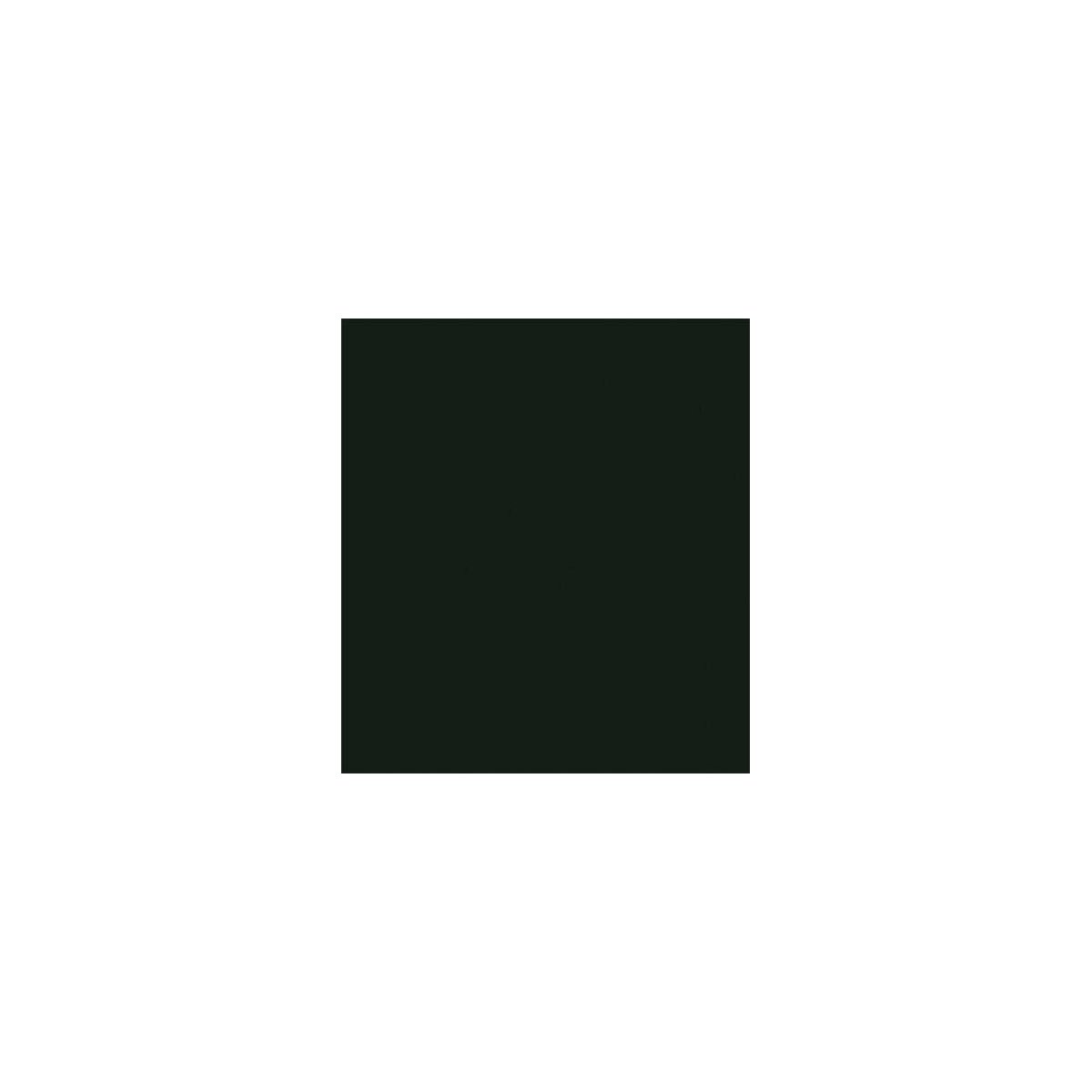 Flat Brushable Color Acrylic Paints - 1oz 29.6mL -- Pennsylvania Railroad Brunswick Green, All Scales, Tru-Color Paint 837