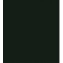 Flat Brushable Color Acrylic Paints - 1oz 29.6mL -- Pennsylvania Railroad Brunswick Green, All Scales, Tru-Color Paint 837