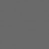 Railroad Color Acrylic Paints - 1oz 29.6mL -- Union Pacific Harbor Mist Gray, All Scales, Tru-Color Paint 25