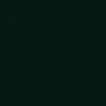 Railroad Color Acrylic Paints - 1oz 29.6mL -- Chicago & North Western Green, All Scales, Tru-Color Paint 109