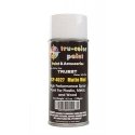 Aerosol Spray Paint 4.5oz 135ml Can -- Matte Mud, All Scales, Tru-Color Paint 4027