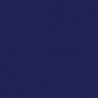 Railroad Color Acrylic Paints - 1oz 29.6mL -- Chesapeake & Ohio / Baltimore & Ohio Blue, All Scales, Tru-Color Paint 72