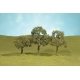Walnut Trees - SceneScapes(TM) -- 2-1/2 to 3-1/2′ 6.4 to 8.9cm pkg(3), HO, Bachmann Industries 32007