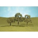 Walnut Trees - SceneScapes(TM) -- 2-1/2 to 3-1/2′ 6.4 to 8.9cm pkg(3), HO, Bachmann Industries 32007