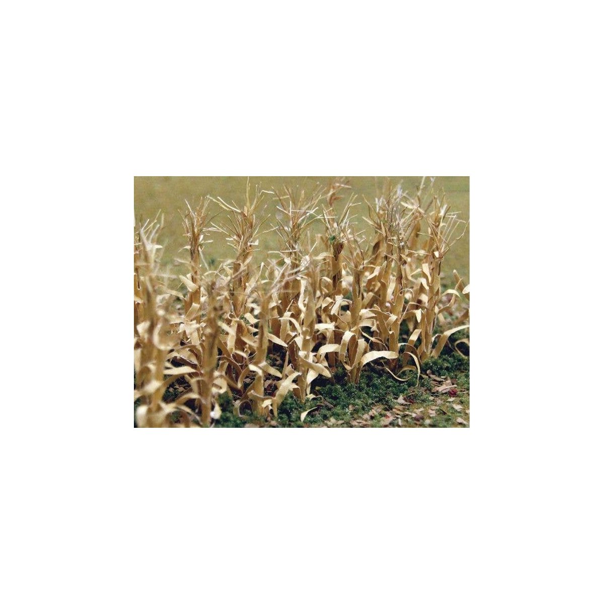 Dried Corn Stalks -- 1′ 2.5cm Tall pkg(30), HO, Bachmann Industries 32503