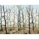 Woods Edge Trees -- Bare pkg(14), HO, Bachmann Industries 32509