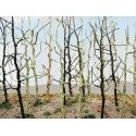Woods Edge Trees -- Bare pkg(14), HO, Bachmann Industries 32509