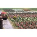 Roses -- Kit - Variety of Colors pkg(120), HO, Busch Gmbh & Co Kg 1205