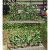 Cucumber & Tomato Plants -- Kit, HO, Busch Gmbh & Co Kg 1214