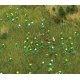 Dandelion Patch - Kit -- 60 White & 60 Yellow 5-13/16 x 4-1/8′ 14.8 x 10.5cm, HO, Busch Gmbh & Co Kg 1220