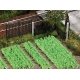 Vegetable Garden -- Kit, HO, Busch Gmbh & Co Kg 1222