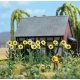 Sunflower Field -- Kit pkg(18), HO, Busch Gmbh & Co Kg 1261