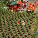 Strawberry Plants -- Kit pkg(40), HO, Busch Gmbh & Co Kg 1265