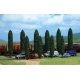 Poplar Trees pkg(10) -- Four: 3-13/16` 9.5cm Six: 3` 7.5cm Tall, N, Busch Gmbh & Co Kg 6239