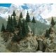 Trees -- Forest Set, HO, Busch Gmbh & Co Kg 6478
