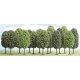 Deciduous Trees -- Assorted, N, Busch Gmbh & Co Kg 6586