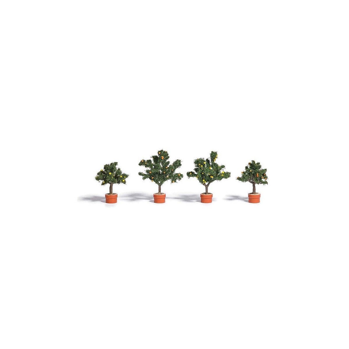 Potted Orange Trees -- 1-3/4 to 2-1/4′ 4.5 to 5.8cm pkg(4), ALL, Busch Gmbh & Co Kg 6619
