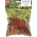 Lichen -- Yellow & Brown 1-1/4oz 35g, ALL, Busch Gmbh & Co Kg 7103