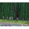 Wild Lupine - Kit -- pkg(8), HO, Busch Gmbh & Co Kg 9792
