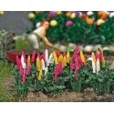 Garden Lupine - Kit -- pkg(8), HO, Busch Gmbh & Co Kg 9793