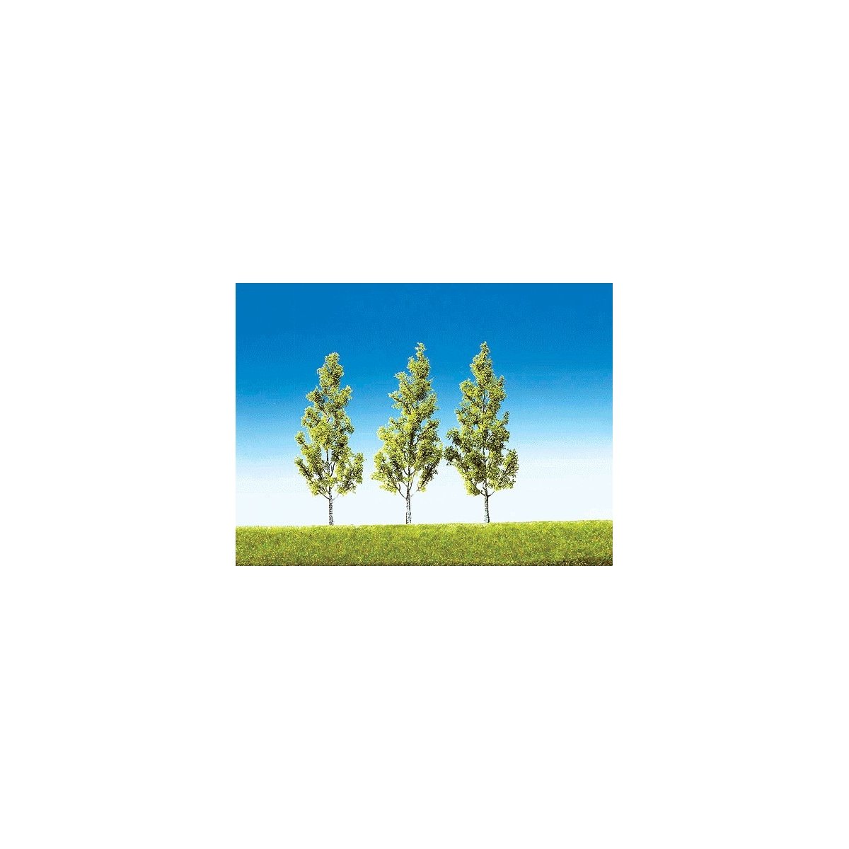 Top Series Trees -- White Birch - 5-3/16′ 13cm Tall pkg(3), HO, Faller Gmbh 181372