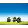 Top Series Trees -- Bushes - 2′ 5cm Tall pkg(3), HO, Faller Gmbh 181375