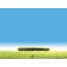 Hedges -- Light Green 4 x 3/8 x 3/8′ 10 x 1 x 1cm, HO, Faller Gmbh 181398
