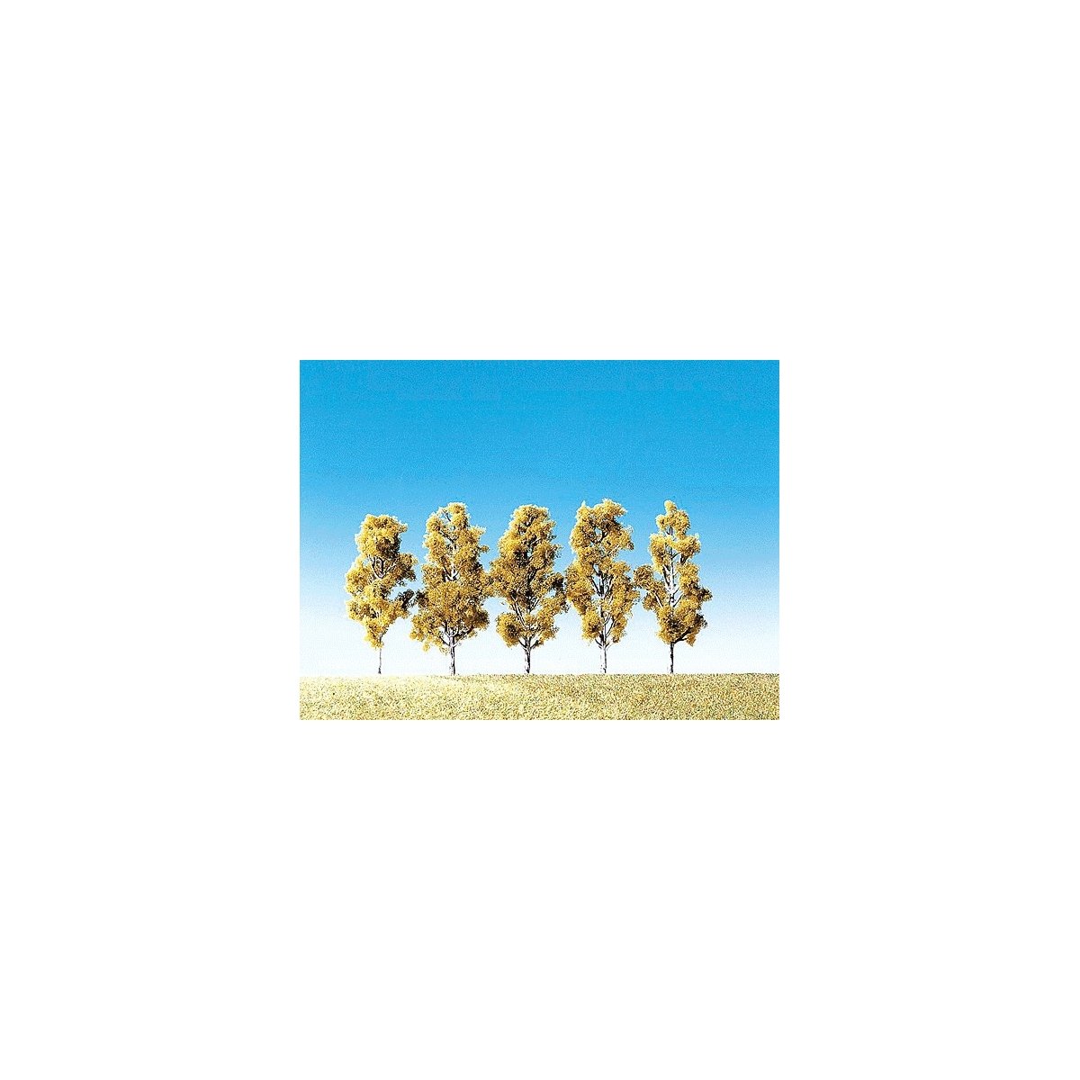 Birch Trees -- Small 2-3/16′, ALL, Faller Gmbh 181486