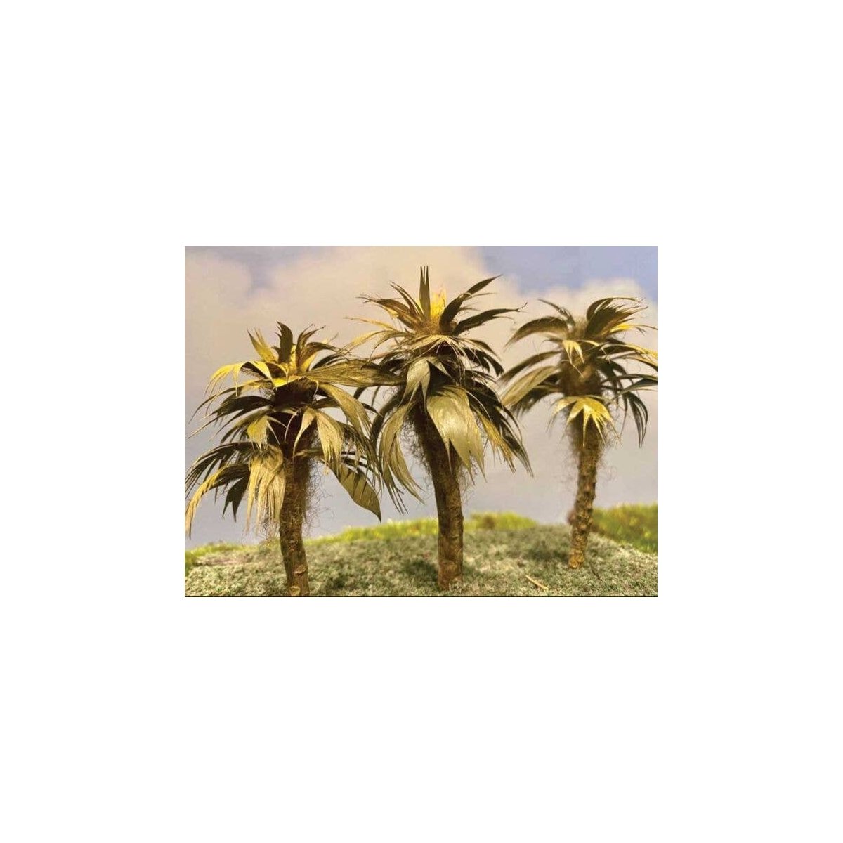 Fan Palm Tree -- 3-4′Tall, ALL, Grand Central Scenery T26