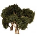 Hardwood Tree -- 6′ 15.2cm pkg(2), ALL, Grand Central Scenery T30