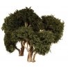 Hardwood Tree -- 6′ 15.2cm pkg(2), ALL, Grand Central Scenery T30