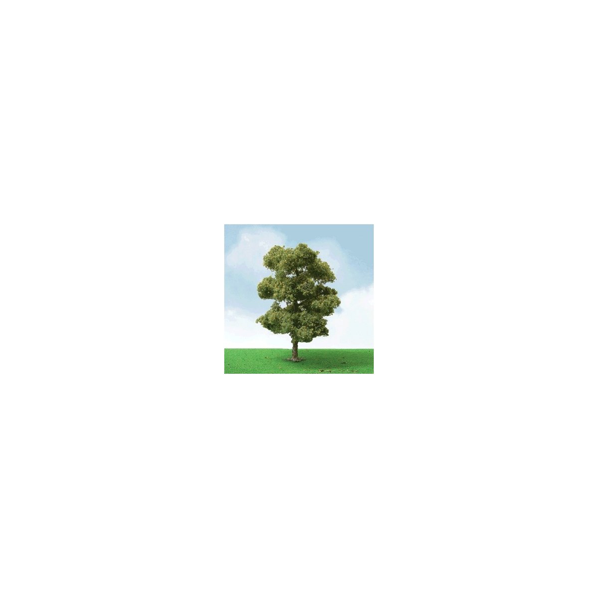 European Plane Trees - Pro Elite -- 2 - 2-1/4′ 5.1 - 5.7cm pkg(3), N, JTT Miniature Tree 92207