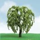 Pro-Elite Series Tree -- Willow 3 to 3-1/2′ 7.6 to 8.9cm Tall pkg(2), HO, JTT Miniature Tree 92302