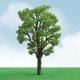 Pro-Elite Series Tree -- Chestnut - 3-1/2 to 4′ 8.9 to 10.2cm Tall pkg(2), HO, JTT Miniature Tree 92308