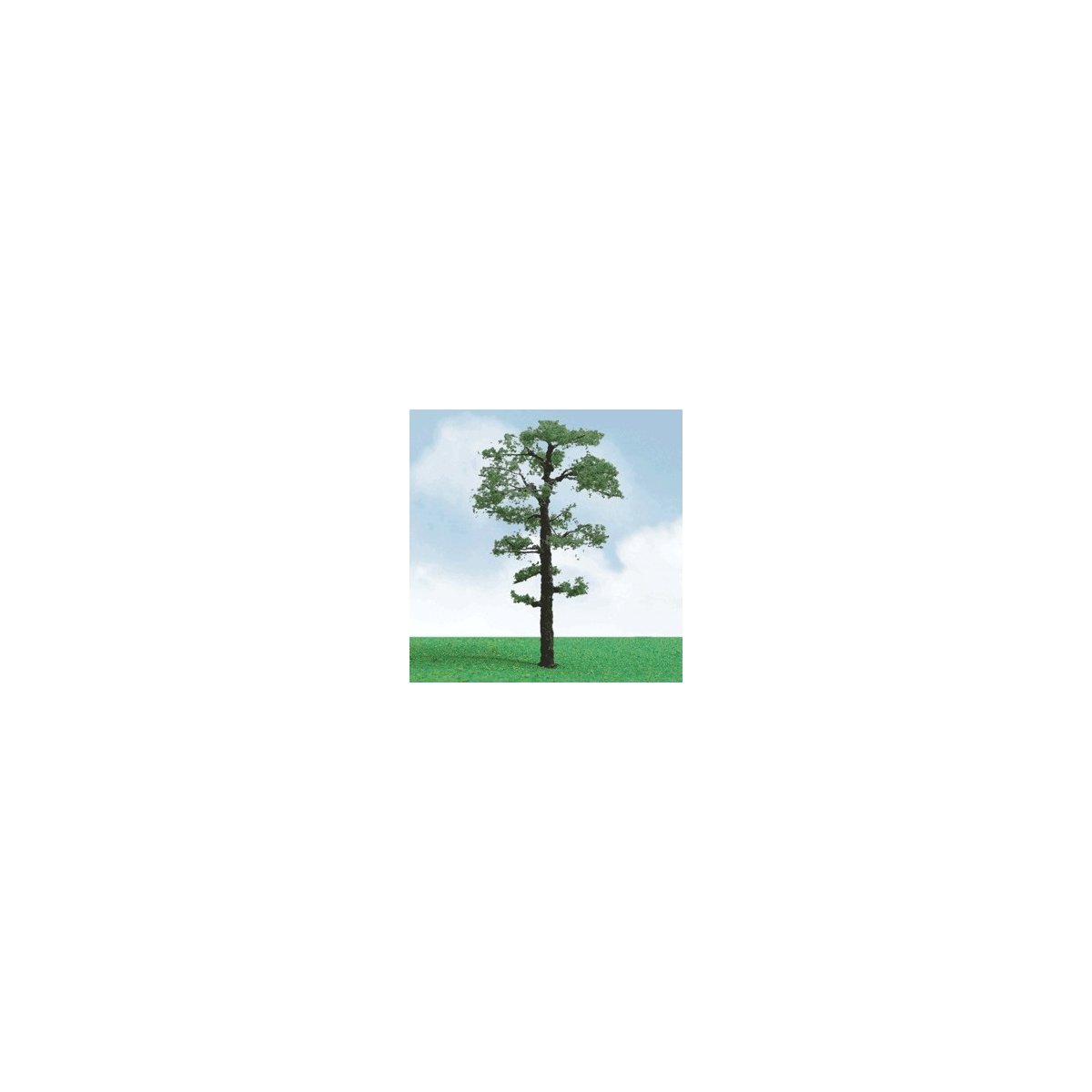 Scots Pine Trees - Pro Elite -- 8′ 20.3cm, O, JTT Miniature Tree 92412